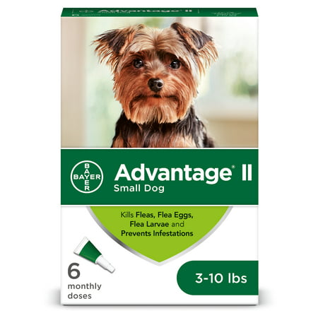 Advantage II Flea Treatment for Small Dogs, 6 Monthly