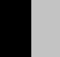 Black/silver
