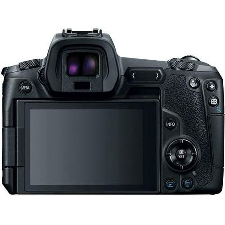 bridge camera with remote control