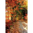 thumbnail image 2 of Autumn Pathway Poster Print by Alan Hausenflock (12 x 18), 2 of 2