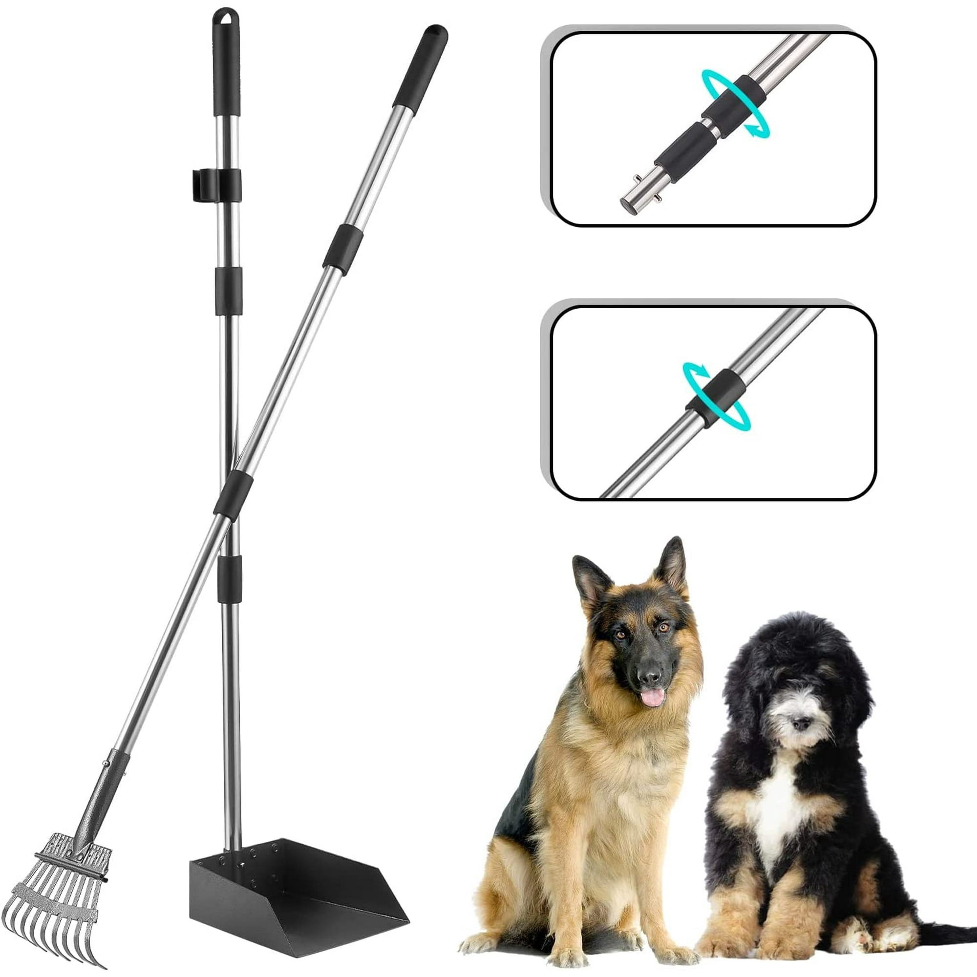 Will Dogs Poop On Gravel