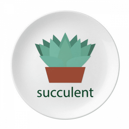 

Cactus Potted Green Succulents Plate Decorative Porcelain Salver Tableware Dinner Dish