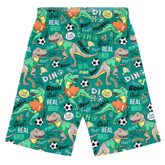BOOMNY Toddler Boys Shorts Elastic Waist Shorts for Kids Cartoon Dinosaur Graphic Childrens Summer Shorts With Pocket