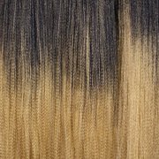 3X Good Chi Pre-Stretchced Braid 52 - TT1B/27