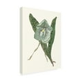 thumbnail image 2 of Trademark Fine Art 'Orchid Display I' Canvas Art by Melissa Wang, 2 of 4