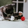 thumbnail image 2 of Glitter Tinsel Cat Toy Ball Elastic Interactive Cat Play Ball Shiny Colorful Kitten Teaser Toy For Indoor Cat Daily Play, 2 of 8