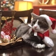 thumbnail image 3 of Disfraz de gato para mascota, sombrero de Navidad y bufanda, gorro de Papá Noel de Navidad, bufanda para gatito, cachorro, conejo, disfraz de cosplay, conjunto de disfraz de vacaciones,, 3 of 6