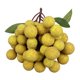 thumbnail image 1 of Artificial Fruit Model ,Realistic, Decoration, Lifelike Simulation Fake Fruit for Restaurant Kitchen Farmhouse Harvest, 1 of 5