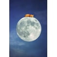 thumbnail image 2 of Grippo-Pike, Carrie Ann 13x18 White Modern Wood Framed Museum Art Print Titled - Fox Sleeping on Moon, 2 of 4