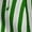 Green, variant on HongQid Womens Casual Shorts Striped Drawstring Waist Loose Fit with Pockets Summer Lightweight Shorts