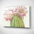 thumbnail image 2 of Epic Art 'Desert Blossoms II' by Tim O'Toole, Acrylic Glass Wall Art, 24"x16", 2 of 3