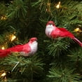 thumbnail image 2 of Set of 12 Red and White Bird Christmas Ornaments 4.25", 2 of 2