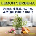 thumbnail image 4 of Mrs. Meyer’s Vinegar Gel Cleaning Spray, Bathroom Use, No-Rinse Formula, , Lemon Verbena, 16  fl oz, Pack of 1, 4 of 6