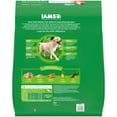 thumbnail image 3 of Iams Proactive Health Large Breed Dry Dog Food With Real Chicken, 30 Lb. Bag, 3 of 12