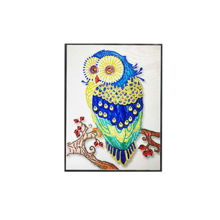 DIY Owl Diamond Painting Silly Portrait Design Embroidery Cute House  Decorations