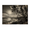 thumbnail image 3 of Designart "Hawaii Balck And White Forms Of Aloha II" Nautical & Beach Print on Natural Pine Wood, 3 of 5
