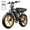 R9-Yellow-15AH, variant on TST Electric Bike for Adults, 750W Peak 1500W Motor, 20"x4" Fat Tire E Bicycle, E Mountain Bike, 48V/15AH UL2849, App Control