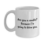 Dirty Coffee Mug - Funny Sexy Gift - Rude, Vulgar, Explicit Present - Naughty Valentine'S Day Gift - I'M Going To Blow You 11 Oz Mug Funny Mugs