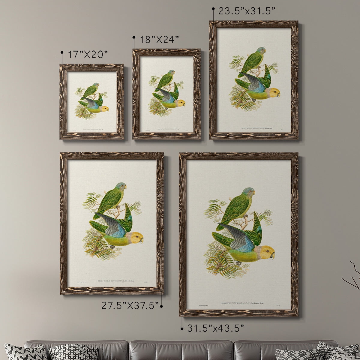 Lime & Cerulean Parrots I - Premium Framed Canvas 2 Piece Set - Ready to Hang