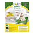 thumbnail image 1 of Alfombra Sanitaria Fancy Pets para Perro Mini, 1 of 4