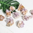 thumbnail image 6 of One Cactus Quartz Cluster Amethyst Spirit Quartz Crown Chakra From South Africa, 6 of 12