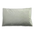 thumbnail image 1 of Ahgly Company Indoor Rectangular Contemporary Lumbar Throw Pillow, 13 inch by 19 inch, 1 of 5