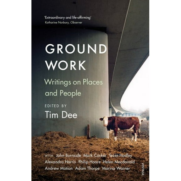 Ground Work : Writings on People and Places
