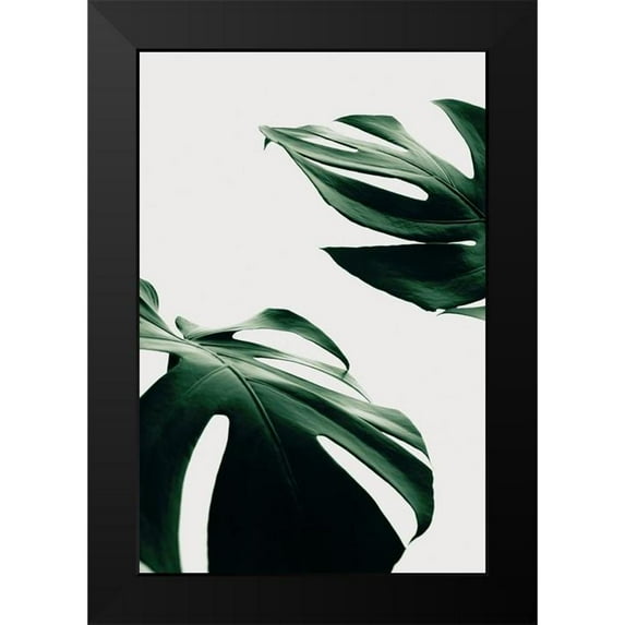 Artographie Studio 11x14 Black Modern Framed Museum Art Print Titled - Monstera Natural 11