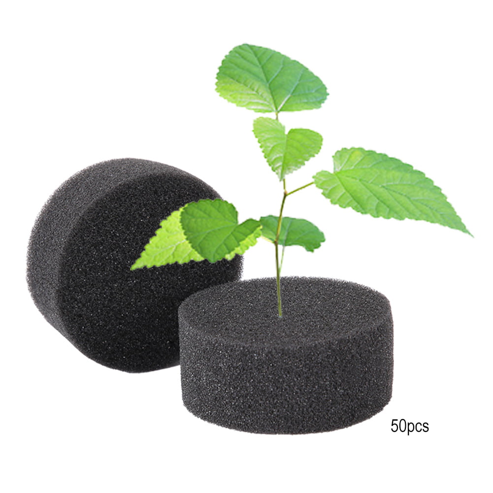 50PCS Transplanted Sponge Soilless Hydroponic Cultivation System Planting Tools 