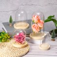 thumbnail image 4 of Uxcell 5.9"x3.1" Clear Cloche Glass Dome Glass Bell Jar Display Case Tabletop Centerpiece with Wooden Base, 4 of 6