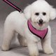 thumbnail image 2 of Perro Mascota Perrito Arnés Ropa  De Malla Suave XL Rosa Yuyangstore none, 2 of 7