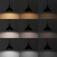 thumbnail image 4 of FSLiving Smart Group Control with Stepless Dimming H-Type Track Lighting Pendant Restaurant Adjustable Height Antique Brass Socket Light Black Shade, Halo Track Mounted for Kitchen Island, 5 Ft, 4 of 9