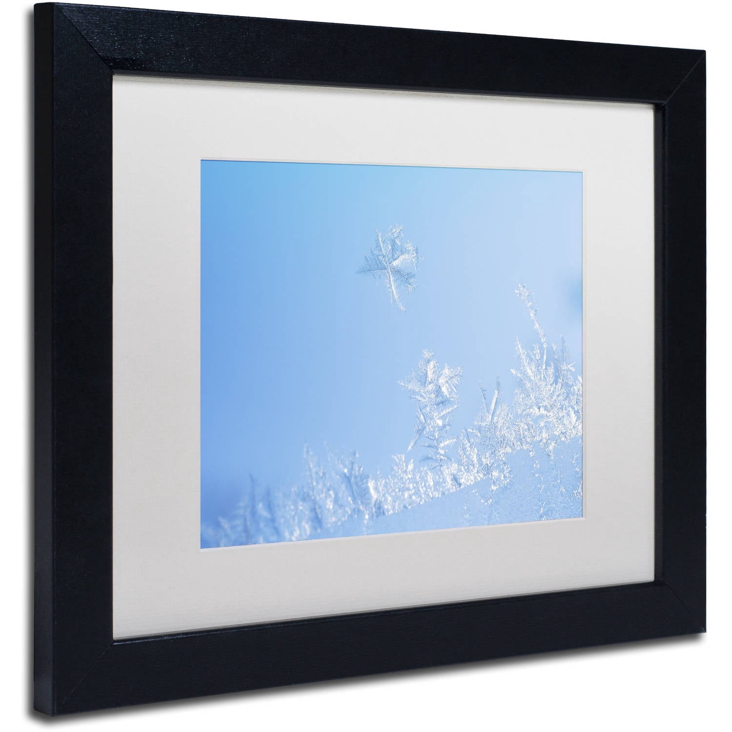 Trademark Fine Art "Window Frost" Canvas Art by Kurt Shaffer White Mat, Black Frame