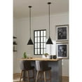 thumbnail image 2 of Progress Lighting Hinton 1-Light Pendant, Polished Nickel, Vintage Metal Shade, 2 of 10