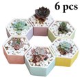 thumbnail image 1 of 6PCS Succulent Pot Creative Small Flower Pot Plant Pot for Garden Yard Decor, 1 of 10