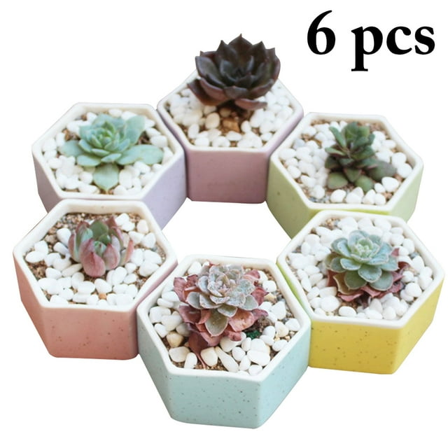 6PCS Succulent Pot Creative Small Flower Pot Plant Pot for Garden Yard Decor