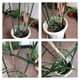 thumbnail image 2 of Yuarrent Estacas universales para plantas, conector de jardín duradero y personalizable, varilla de soporte sin olor, 12 piezas Jardín y Patio, 2 of 6