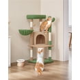 thumbnail image 2 of Yaheetech 42" Height Cactus Cat Tree with Scratching Posts, Basket & Ladder, Brown/Green, 2 of 7