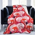 thumbnail image 2 of Flamingo Blanket for Women Men, Cute Flamingo Themed Design Printed Throw Blankets for Teens Adults Lap, Couch Bed, Warm Soft Cozy Blanket, 60"x 80", 2 of 6