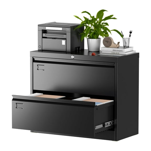 AOBABO Metal Lateral File Storage Cabinet with 2 Drawer,Lockable Steel Filing Storage Cabinet for Office and Home, Black, Assembly Required