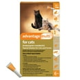 thumbnail image 6 of Advantage Multi for Cats 5-in-1 Heartworm Prevention, Cats 9.1-18 lbs., 6 of 13