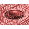 thumbnail image 1 of Ahgly Company Machine Washable Indoor Rectangle Transitional Light Coral Pink Area Rugs, 4' x 6', 1 of 7