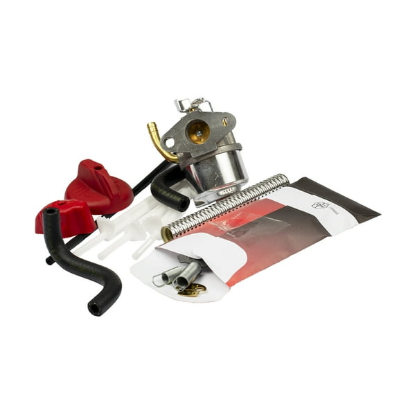 Briggs and Stratton 798917 Carburetor Assembly