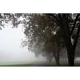 thumbnail image 3 of Putman, Tammy 24x17 Black Modern Framed Museum Art Print Titled - Foggy Trees III, 3 of 5