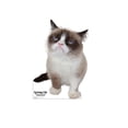 thumbnail image 2 of Advanced Graphics 3047 37 x 26 in. Grumpy Cat Cardboard Cutout, 2 of 3
