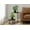 Green#6, variant on Indoor Plants Artificial Plant, 6" Tall, Succulent, Indoor, Faux, Fake, Table, Greenery, Potted, Set Of 2, Decorative, Green Leaves, Grey Cement Pots,Artificial Flowers