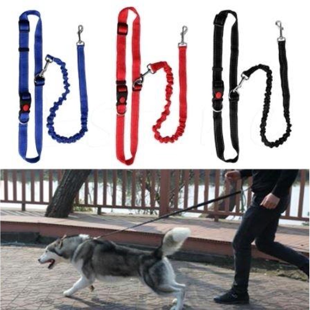Hands Free Running Bungee Dog Leash Assorted Colors