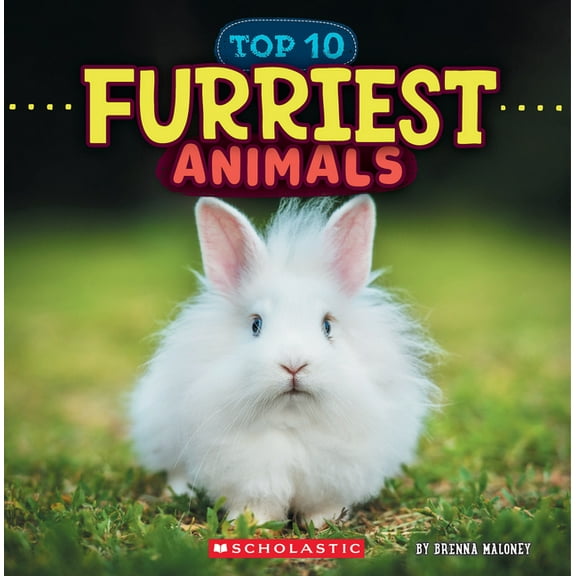 Wild World Furriest Animals (Wild World: Top 10), (Paperback)