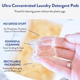 thumbnail image 6 of Clean People Laundry Detergent Pods - Clean Ingredients, Ultra-Concentrated - Sweet Petals, 32 Pack, 6 of 9