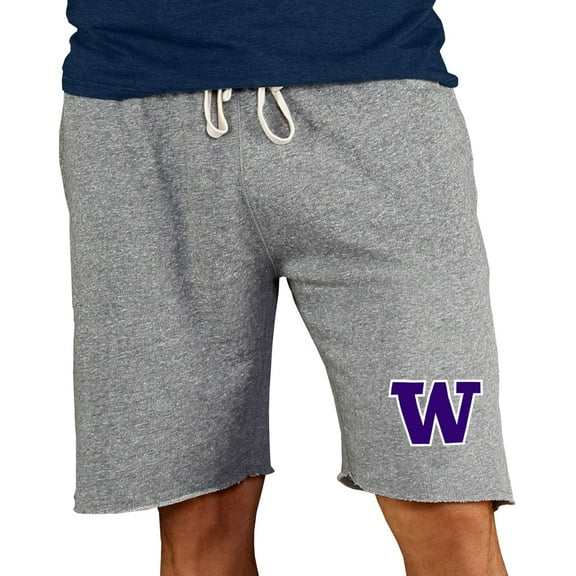 Men's Concepts Sport Gray Washington Huskies Mainstream Terry Shorts